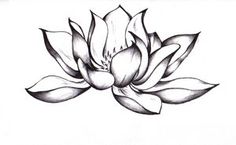 Lotus Flower Drawings | Lotus Mandala Design, Lotus Mand…