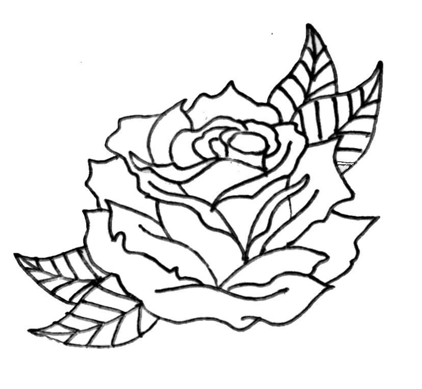 Flowers For > Traditional Rose Drawing Outline