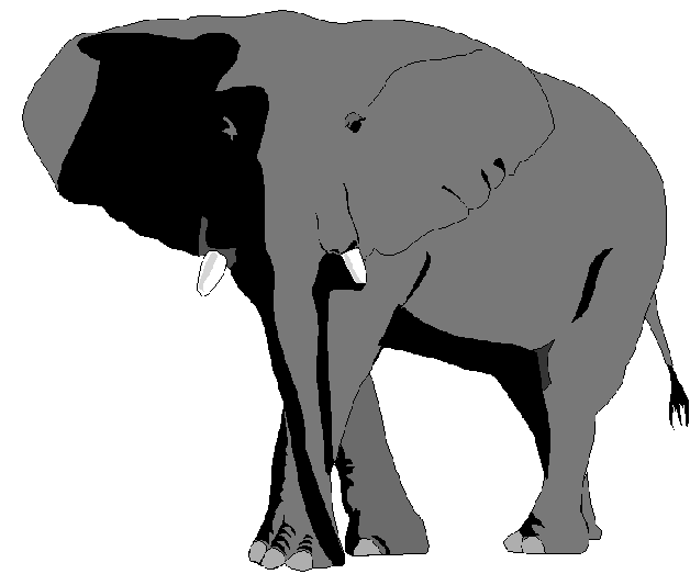 African Elephant Clipart