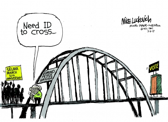 Mike Luckovich: Bridge Rights - Mike Luckovich - Truthdig