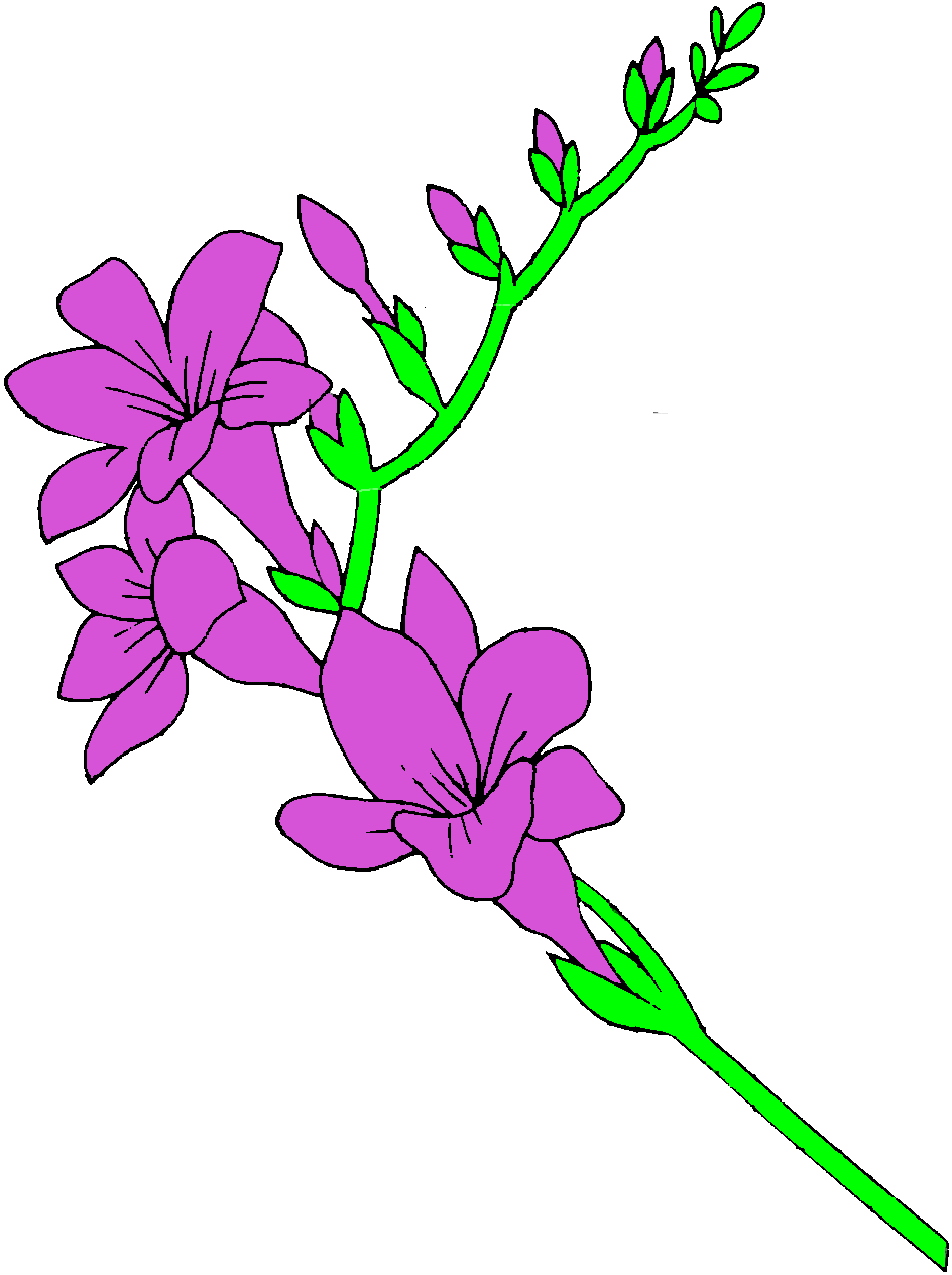 Iris Flower Clip Art Free - Free Clipart Images