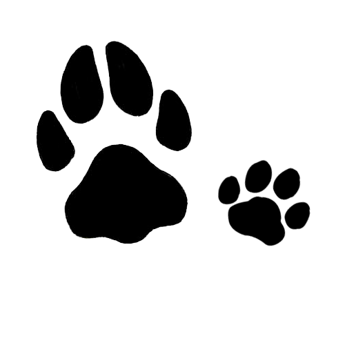 1000+ images about Paw print tattoos | Cats, Dog paw ...