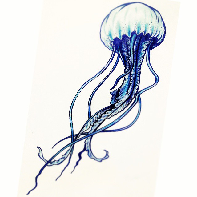 Jellyfish Drawing Pic | Drawing Images