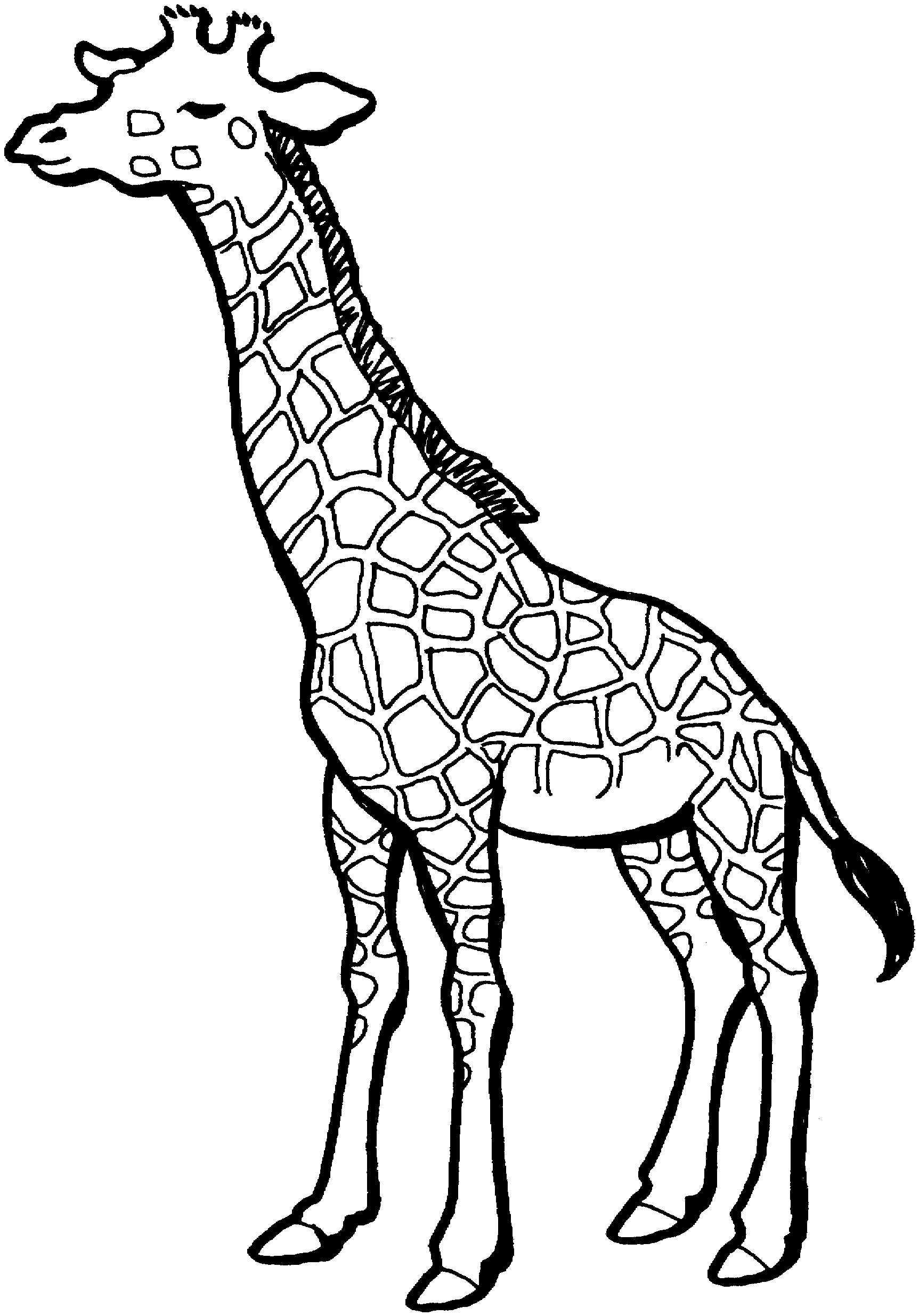 Giraffe Black And Whiote Drawing For Children Printable - ClipArt Best