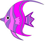 angelfish-3th.jpg