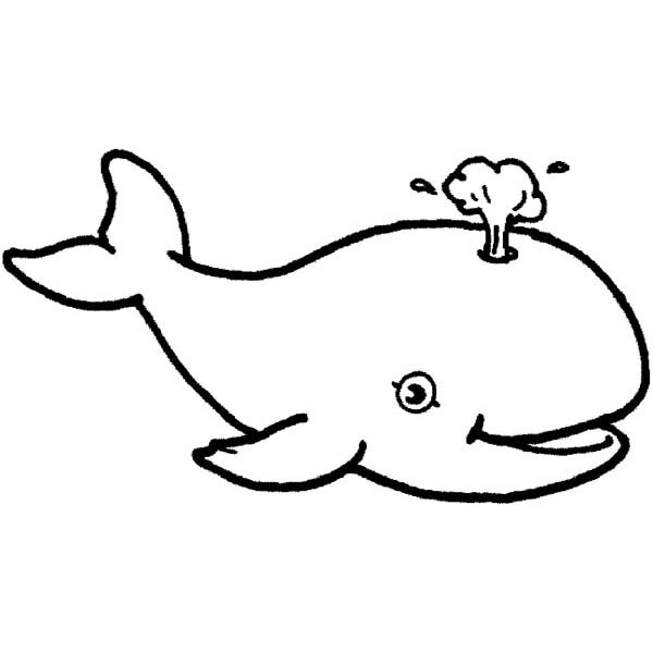 Cute Whale with Blowhole Sea Animals Coloring Page - Free ...