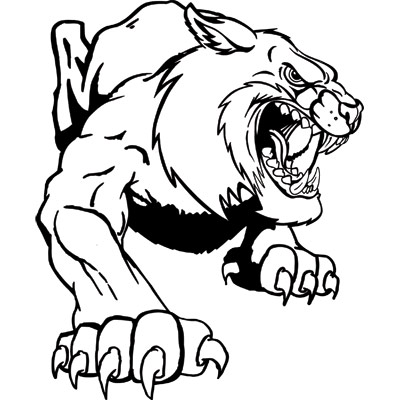 Wildcat Image