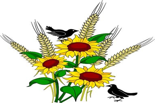 flower arranging clipart - photo #26