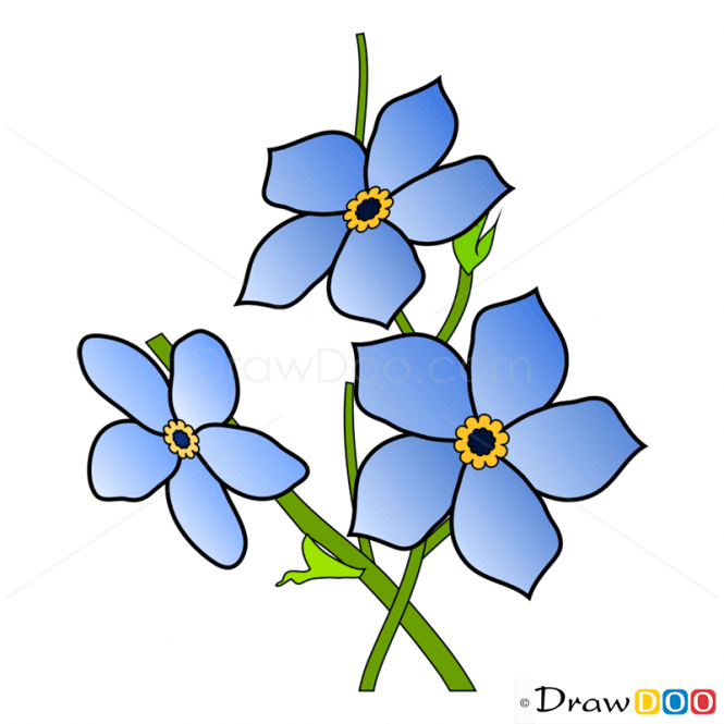 img.php?src=http://drawdoo.com/wp-content/uploads/tutorials/Flowers/lesson12/step_00.png&w=665&h=&zc=1&q=60&a=t