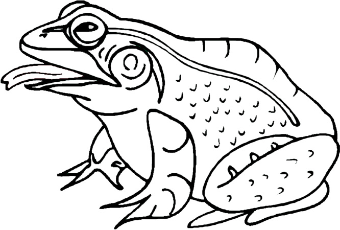 1,031 views Images Of Fishing Boat Minecraft Project Wallpaper