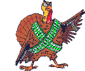 644 views Turkey Animation