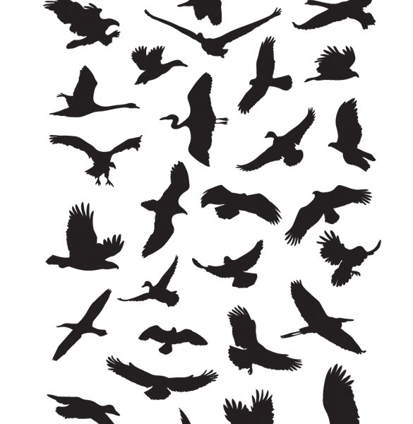 Images Of Flying Bird Silhouette Template Wallpaper