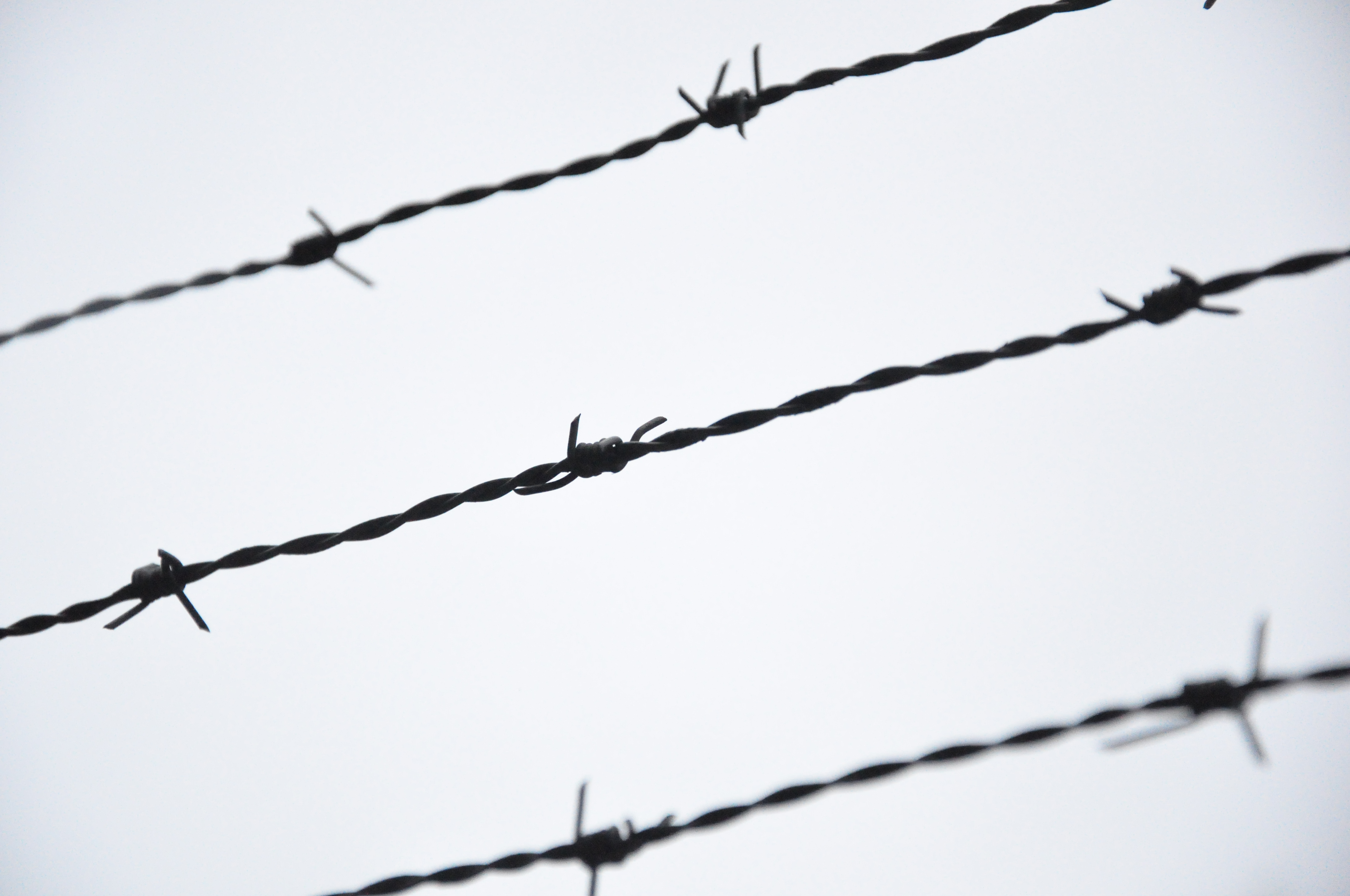 Barbed Wire Drawing