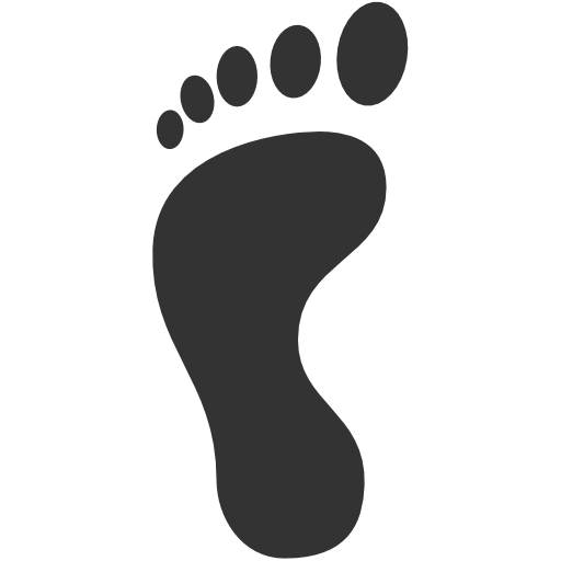 Tracks Footprints Left footprint Icon | Icons8 Metro Style Iconset ...