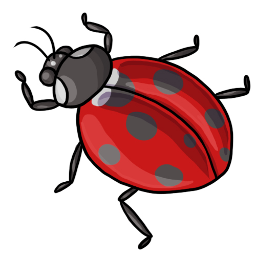 FREE Ladybug Clip Art 20