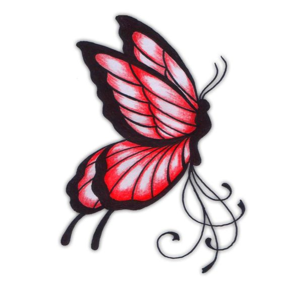 Beautiful, Butterfly sketch and Design