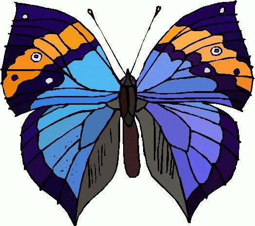 1000+ images about butterfly designs | Patterns ...