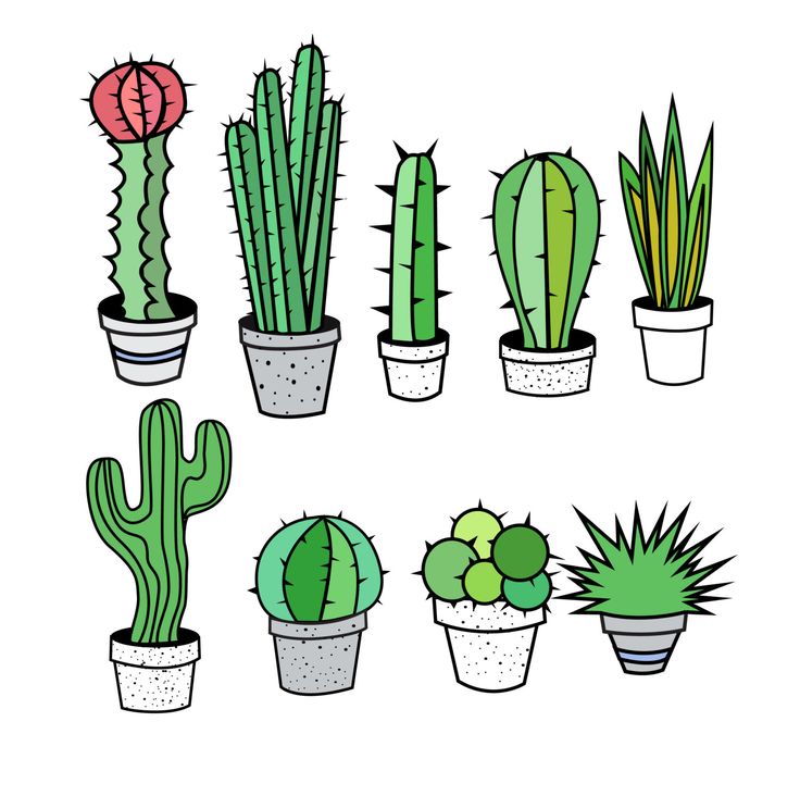 Cactus Clipart | Digital Stamps ...