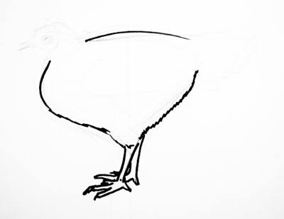 How to draw a Hen
