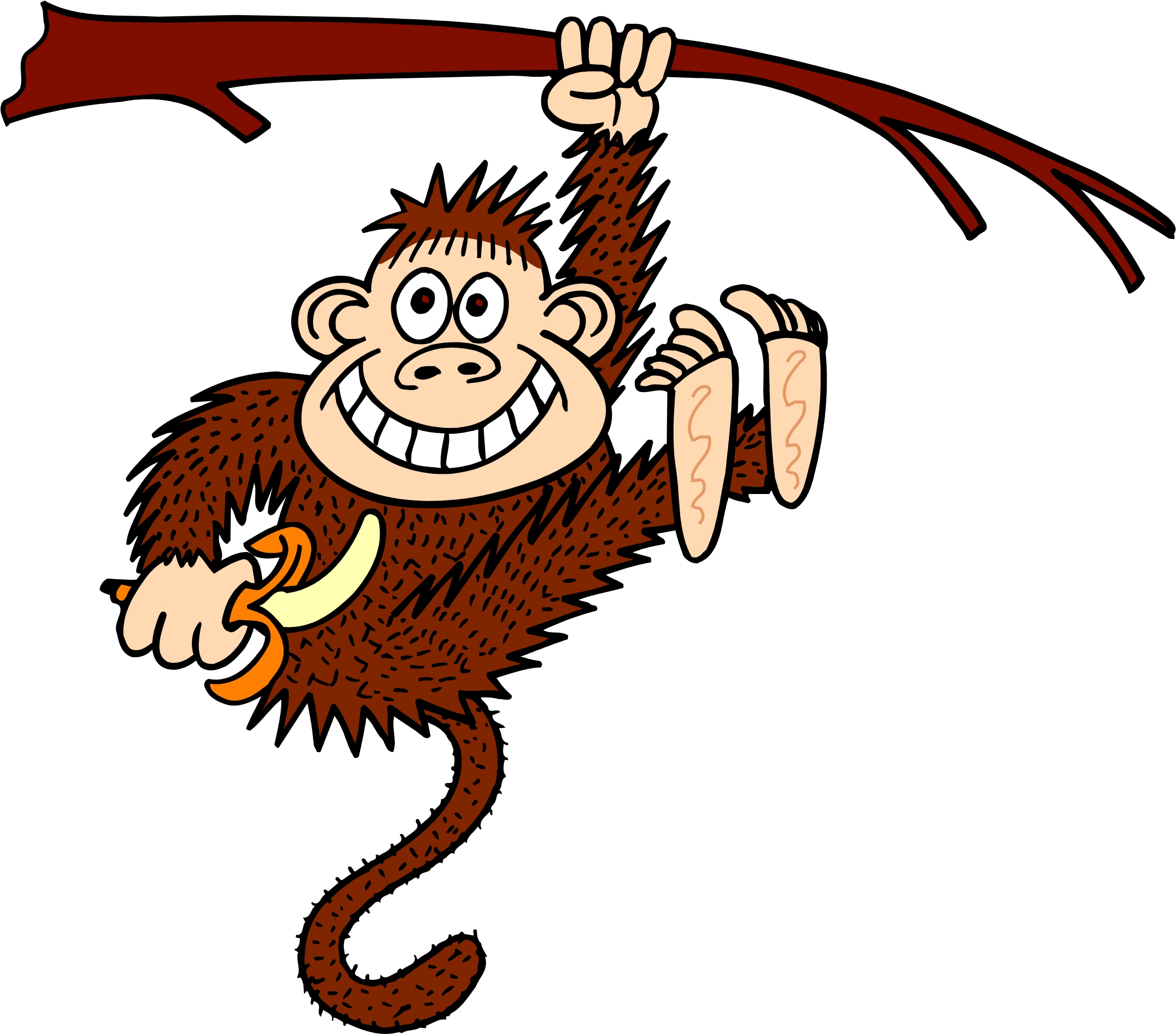 Monkey hanging from tree clipart images