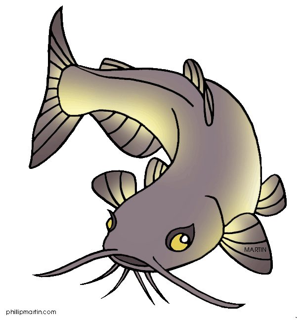 Catfish Drawings ClipArt Best