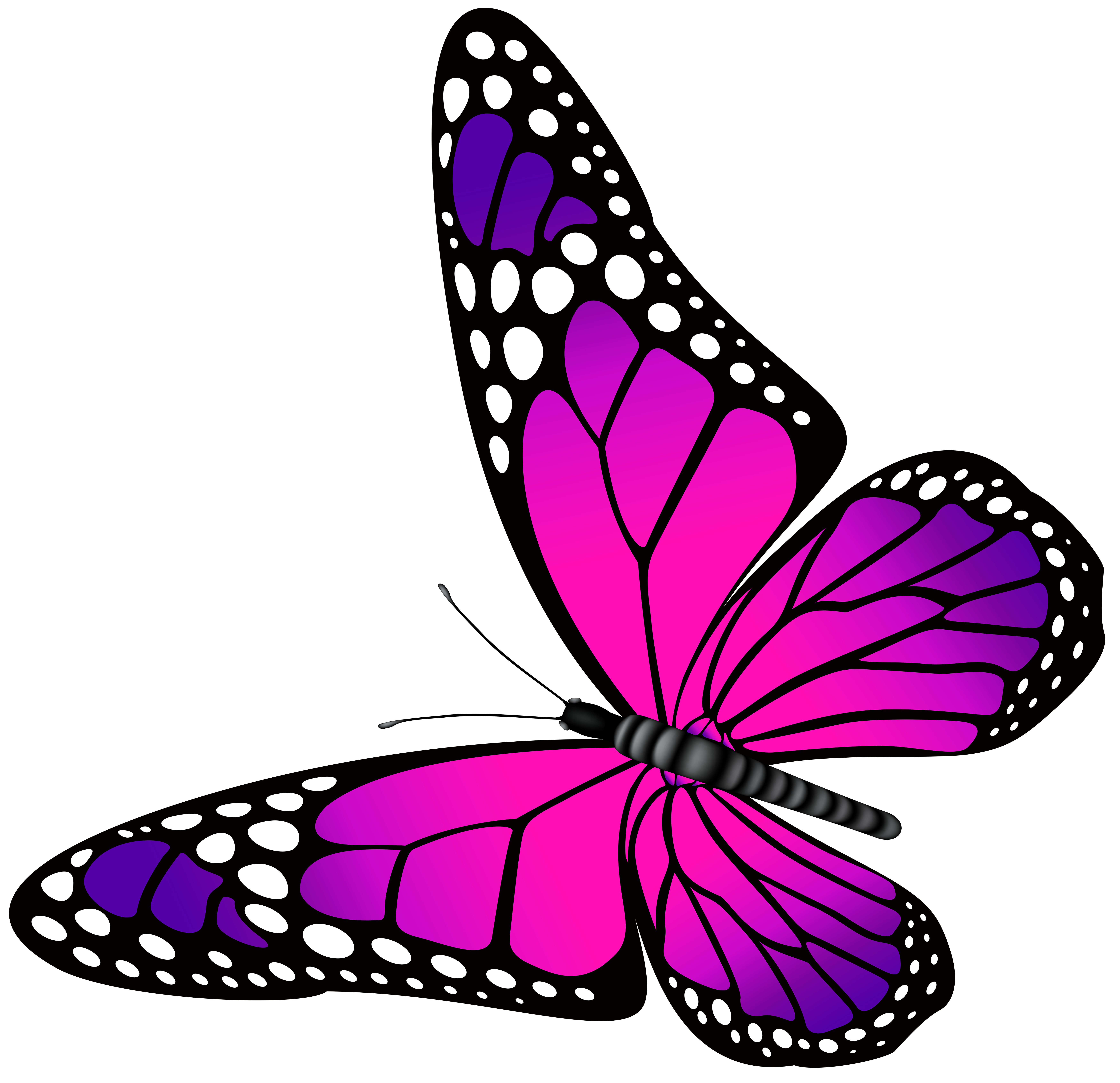 Butterfly Pink and Purple Transparent PNG Clip Art Image