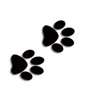 Best Photos of Cartoon Paw Print - Cartoon Dog Paw Prints Clip Art ...