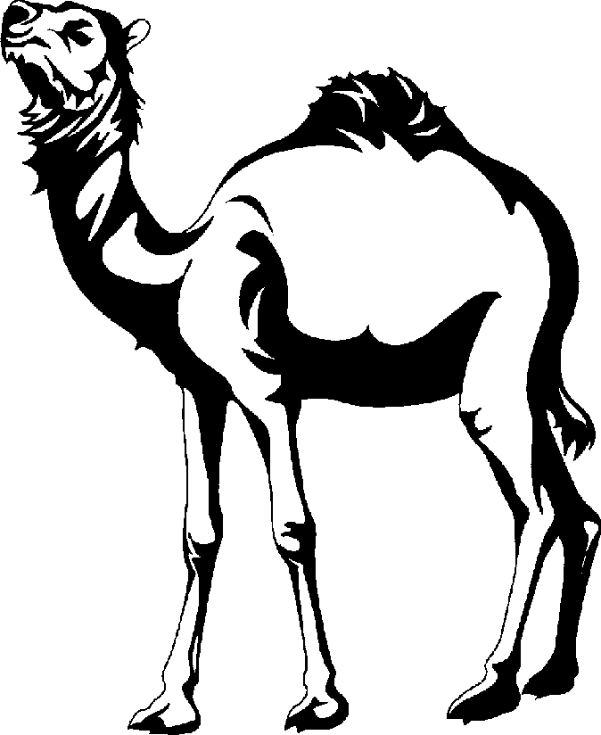 Camel Clipart Black And White - Free Clipart Images