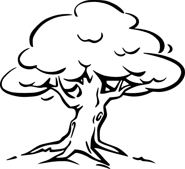 Tree drawing clipart