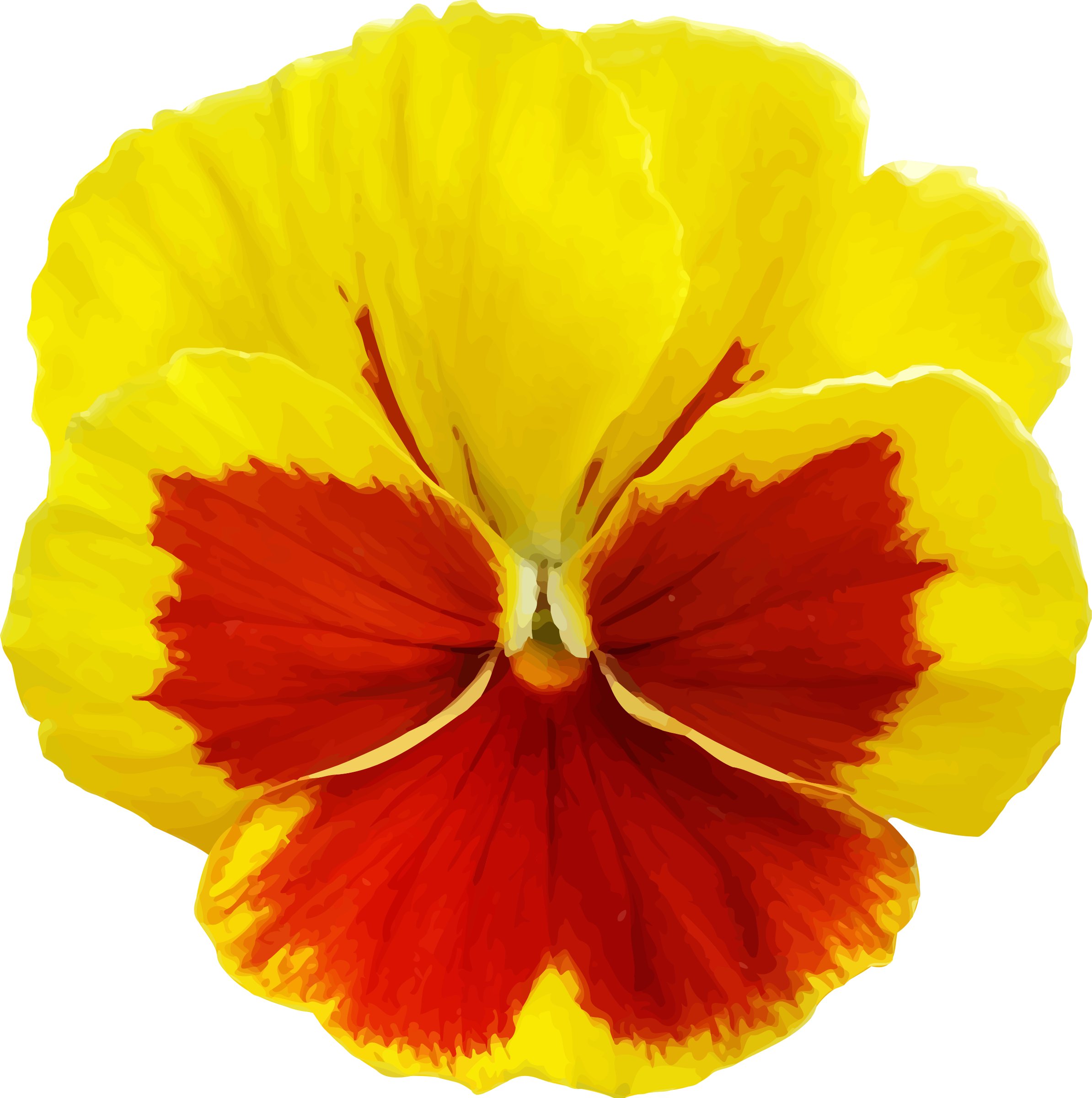 Clipart - Pansy 2