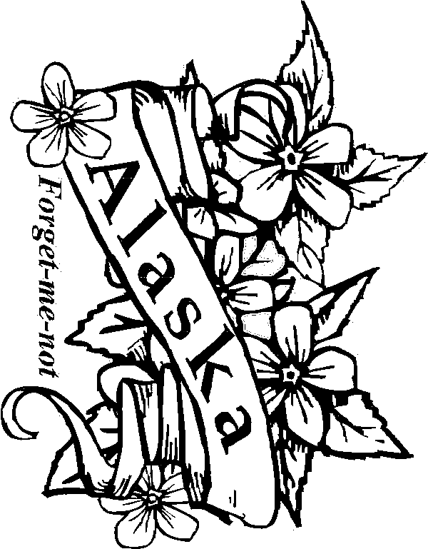 50 State Flowers Coloring Pages for Kids