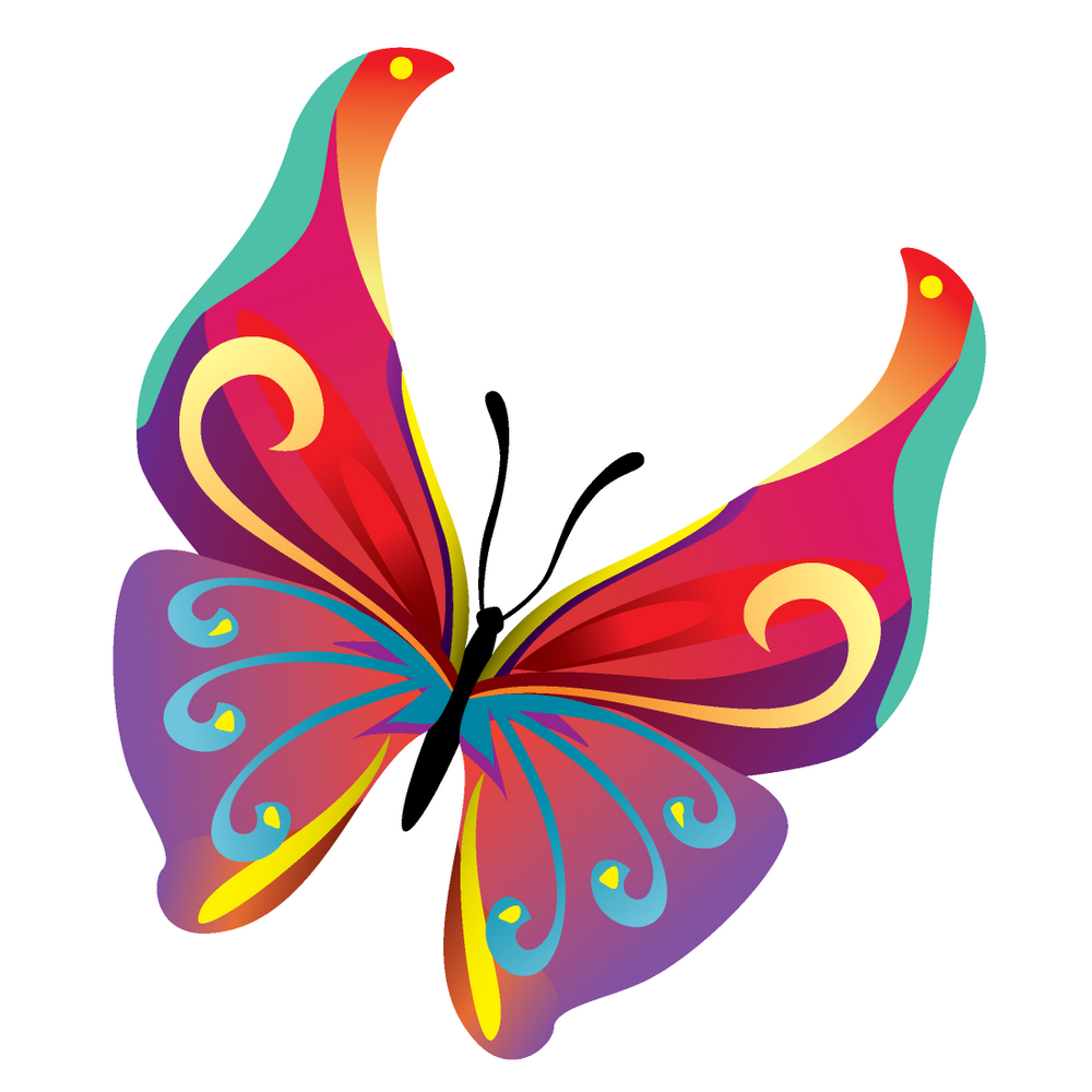 14 Colours butterfly vector Free Vector / 4Vector