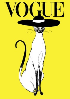 596 views ART ... CATS