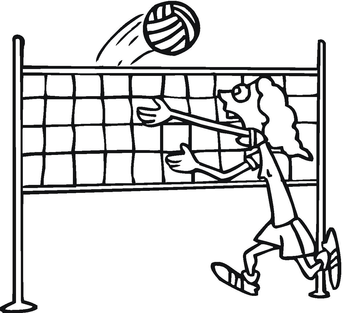 Pin Volleyball Net Images