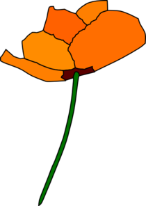 california-poppy-md.png