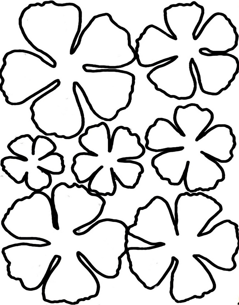 Printable Flower Petal Template Pattern Free Printable Templates