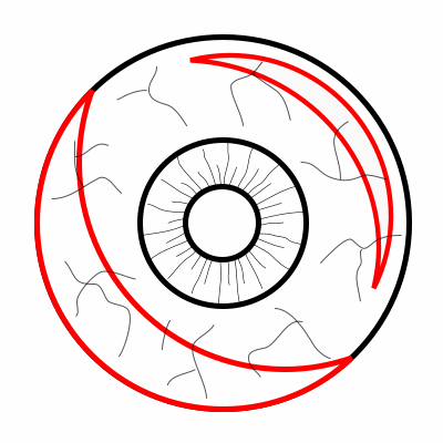 755 views Drawing a cartoon eyeball