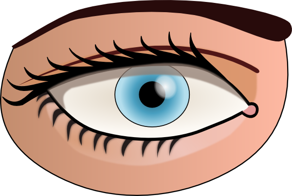 Eyes Clip Art Vector Free For Download