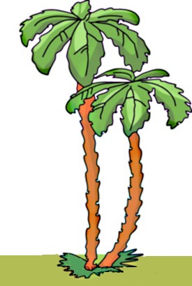 Tropical Palm Tree Clipart, Palm Tree Clip Art, Cartoon, Free Palm ...