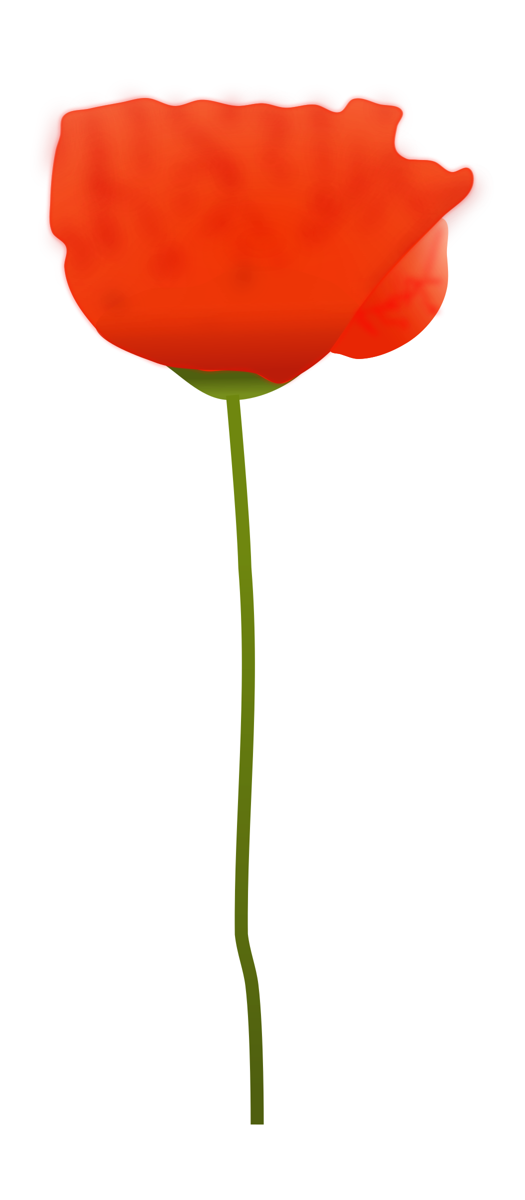Red Poppy Flower Clipart