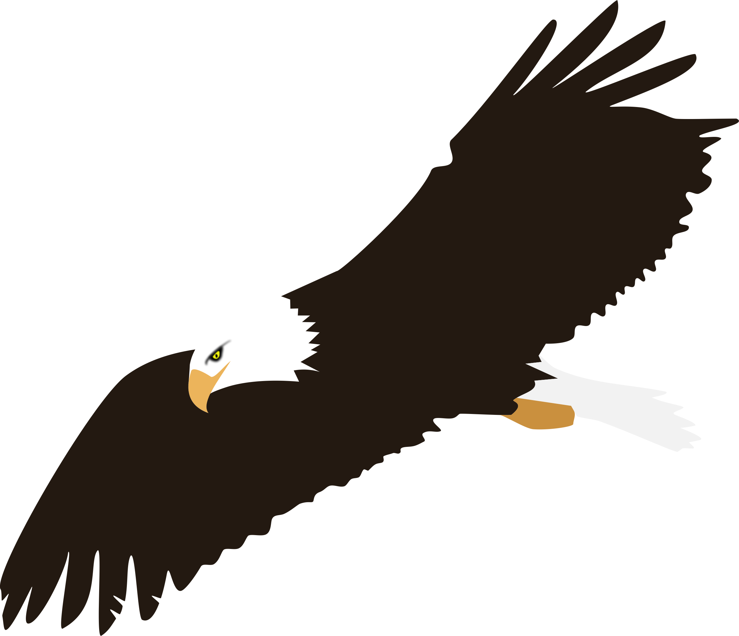 Soaring Bald Eagle Vector Clipart - Free Public Domain Stock Photo
