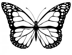Butterfly Clip Art Black And White 10580 Hd Wallpapers Background ...
