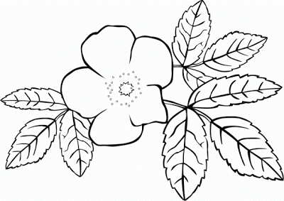 Flower Coloring Pages For Kids