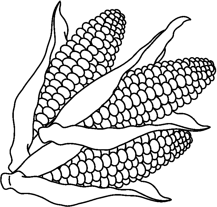corn clipart Colouring Pages