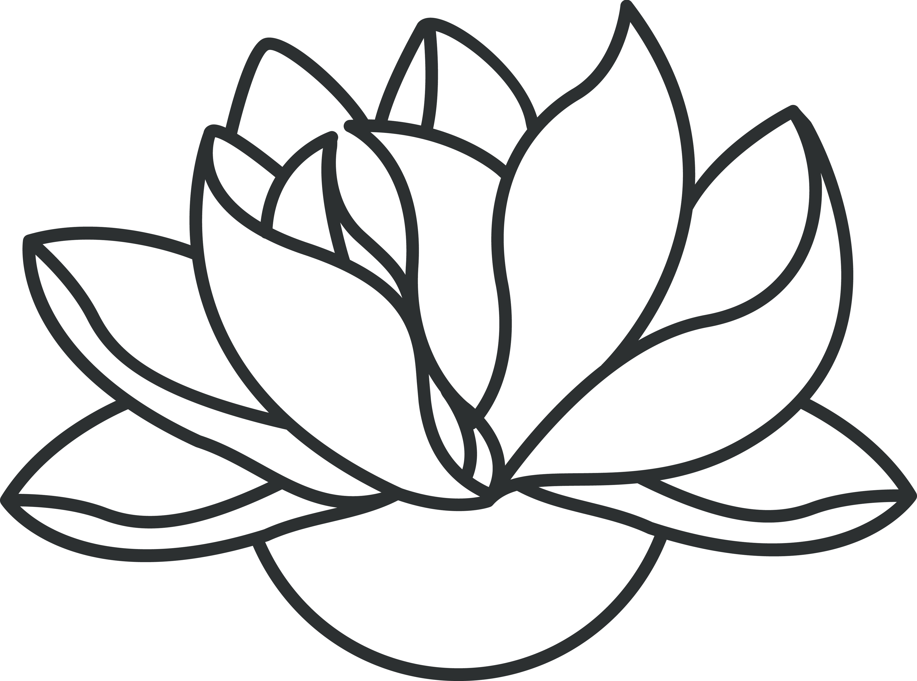 Lotus Flower Line Drawing Clipart - Free to use Clip Art Resource