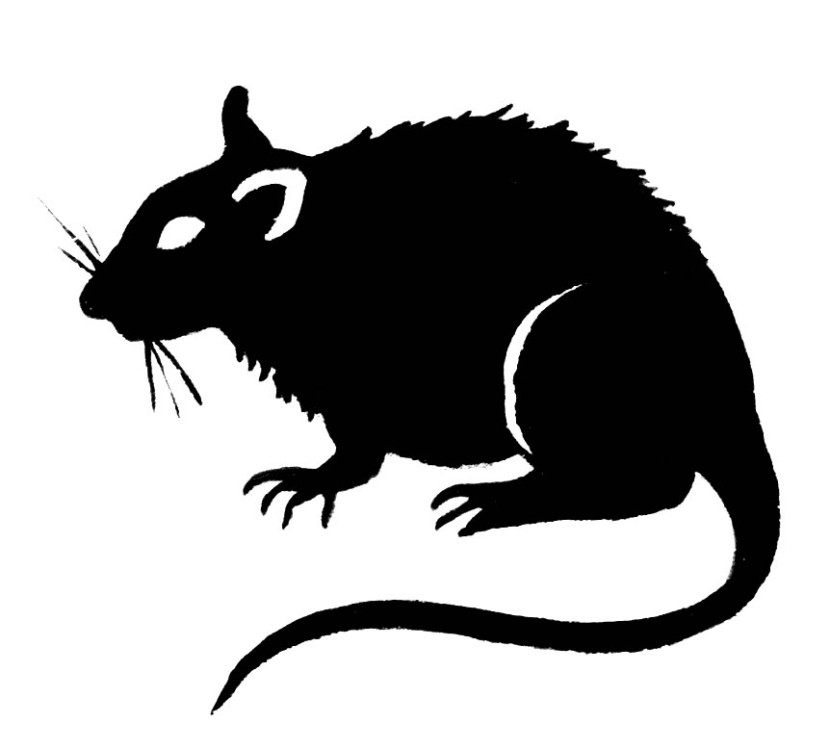 Clip Art Rat - Tumundografico