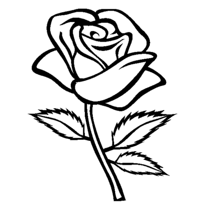 Rose line drawing clip art