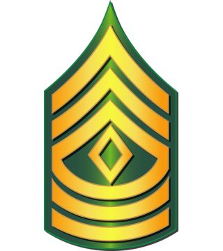 Army - First Sergeant - E8 | Army Rank - Branch Insignia