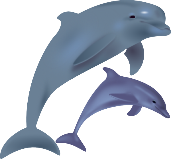 Dolphin Clip Art Free - Free Clipart Images