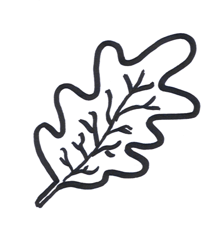 Coloring Pages - Fall - Oak Leaf
